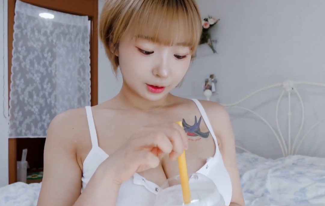 여캠/벗방