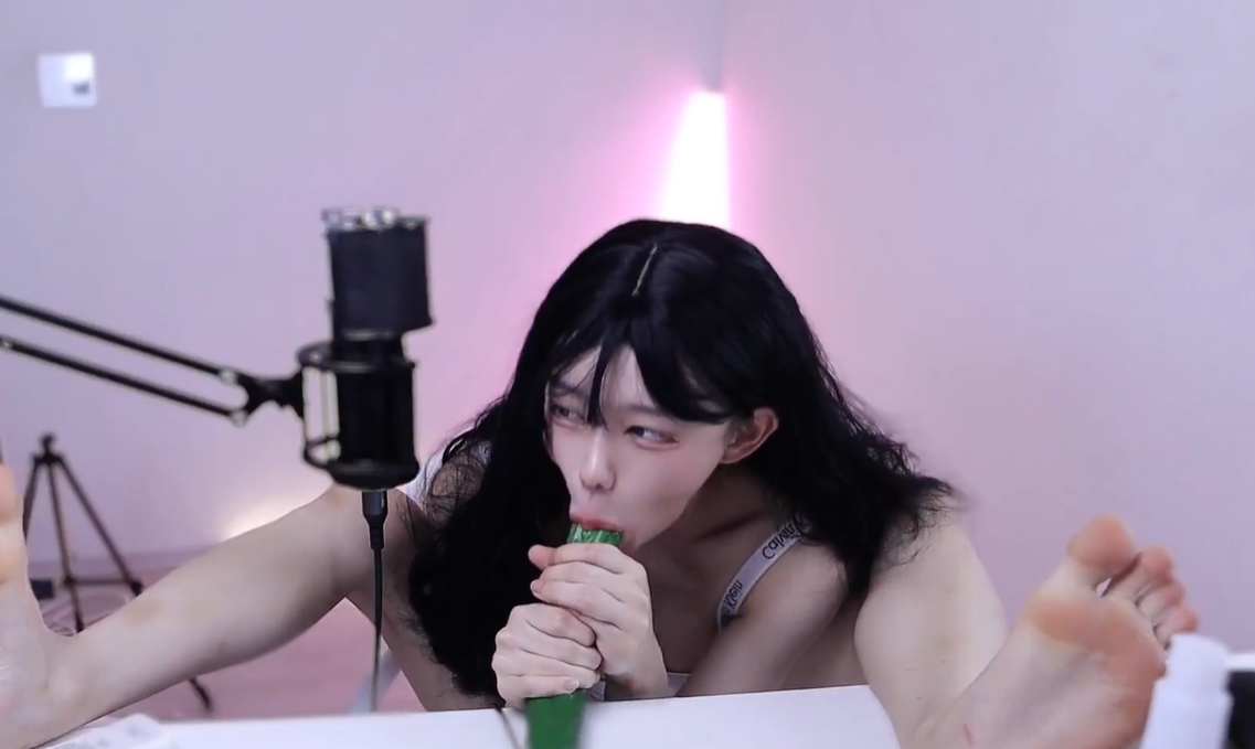 여캠/벗방
