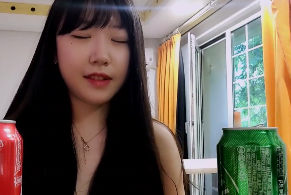 여캠/벗방