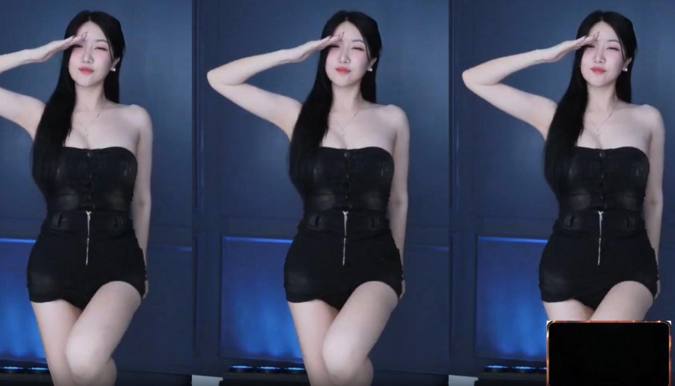 여캠/벗방